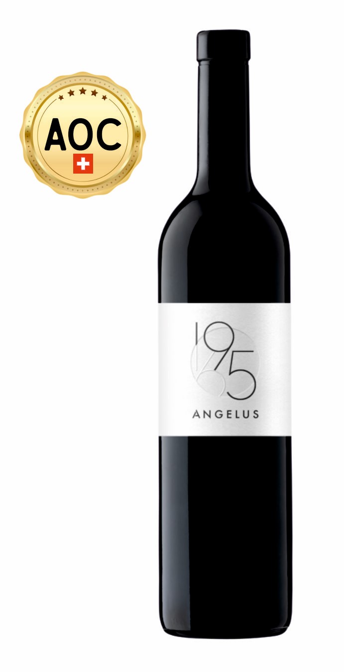 1965 DARK 0,5L - AOC